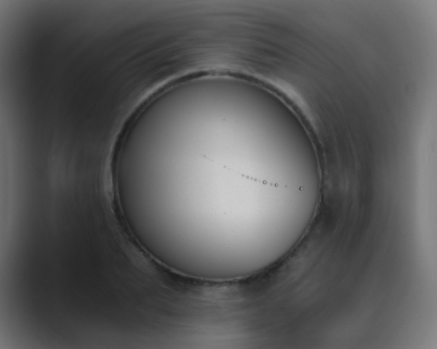 X0000089830887200706281209