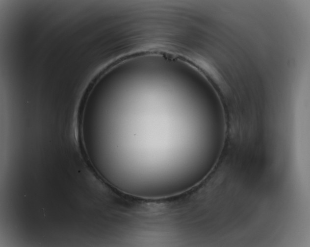 X0000089830888200706281209