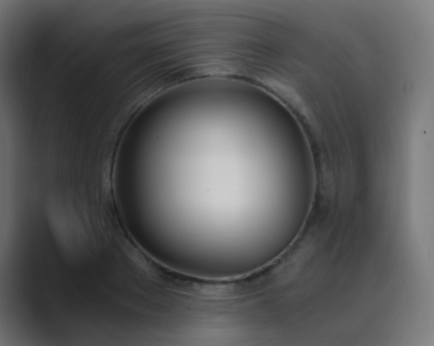 X0000089830889200706281209