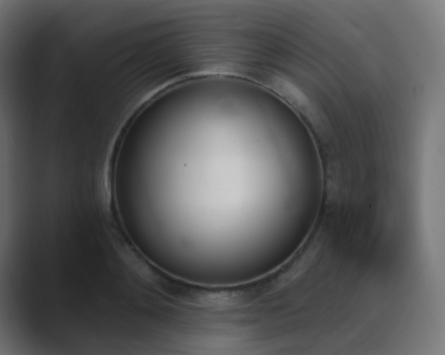 X0000089830892200706281209