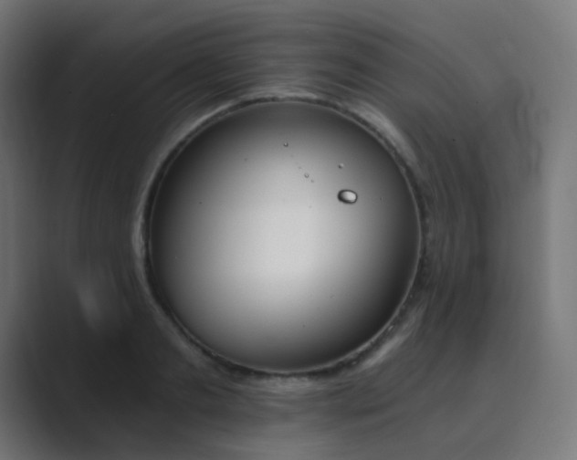 X0000089830893200706281209