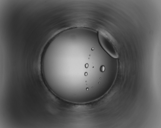 X0000089830894200706281209