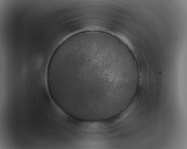 X0000089830895200706281209
