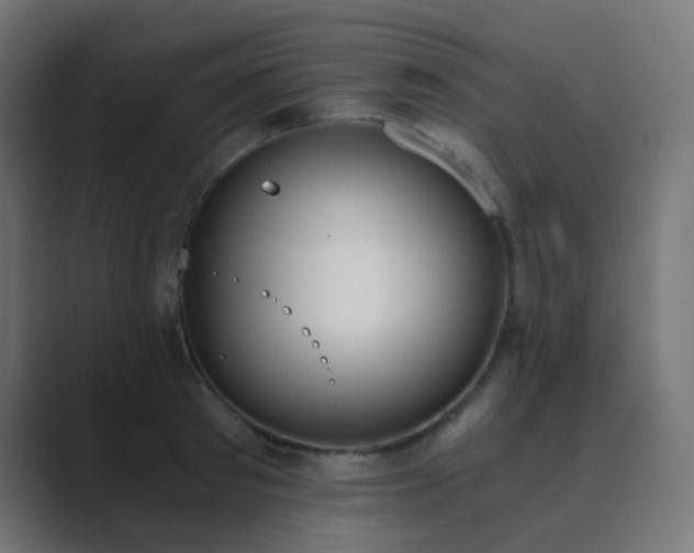 X0000089830897200706281209