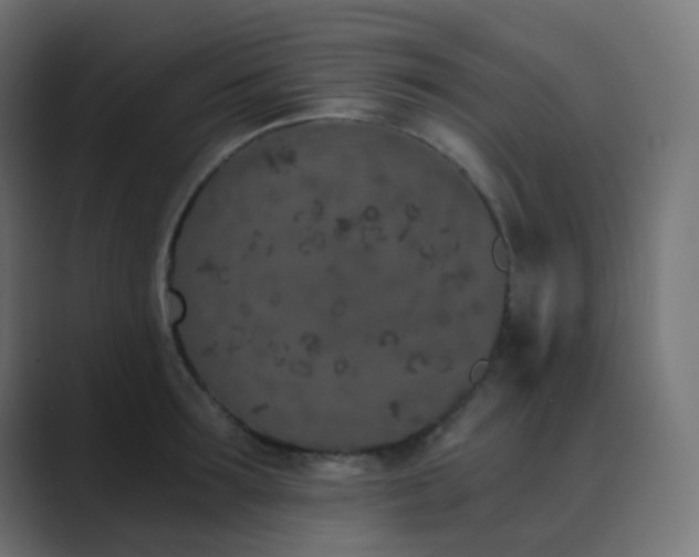 X0000089830899200706281209