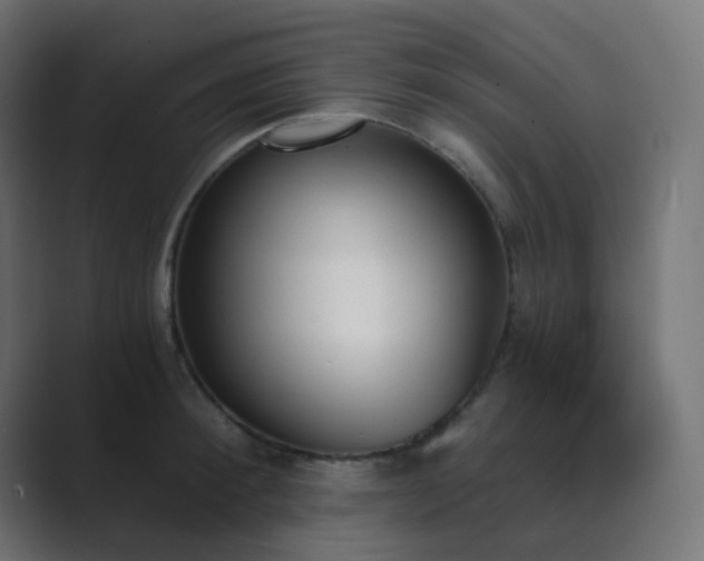 X0000089830900200706281209