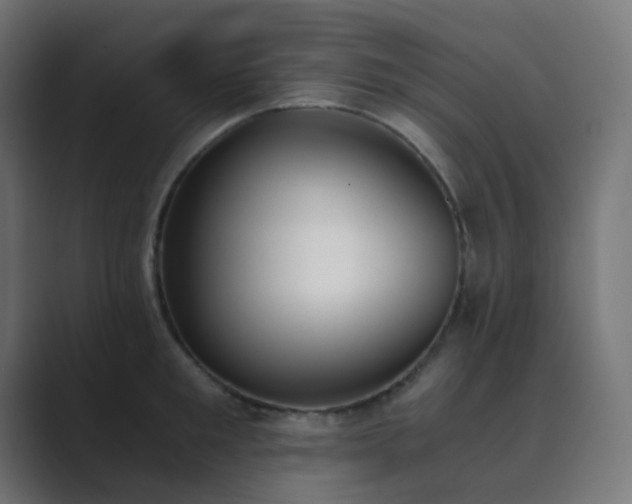 X0000089830901200706281209