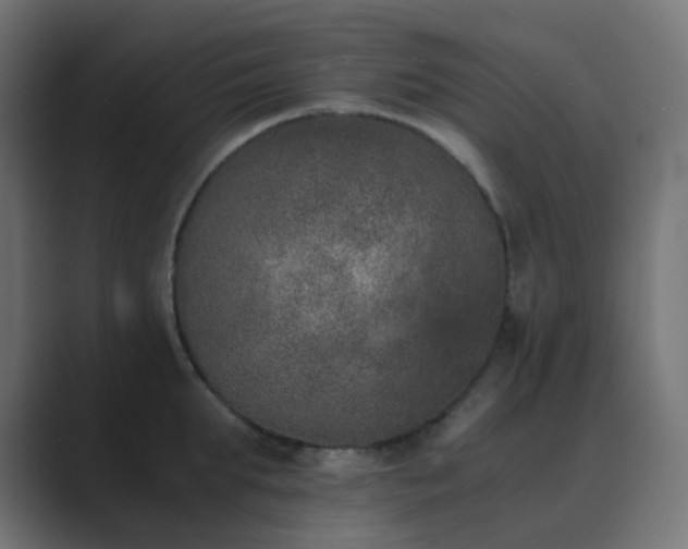 X0000089830903200706281209