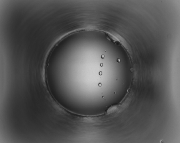 X0000089830904200706281209