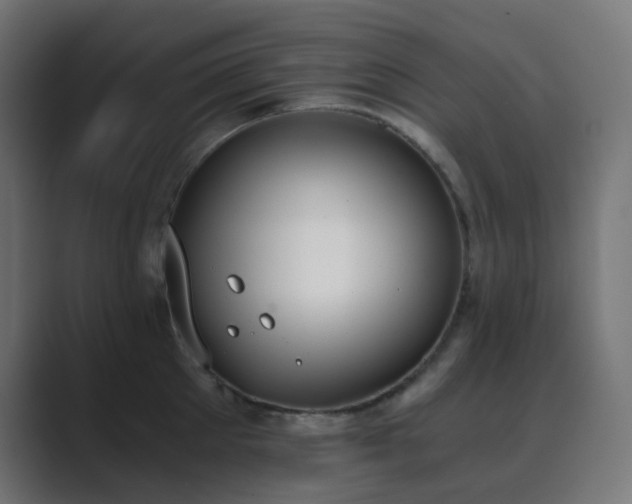 X0000089830905200706281209