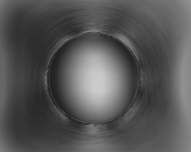 X0000089830906200706281209