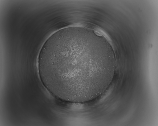 X0000089830907200706281209