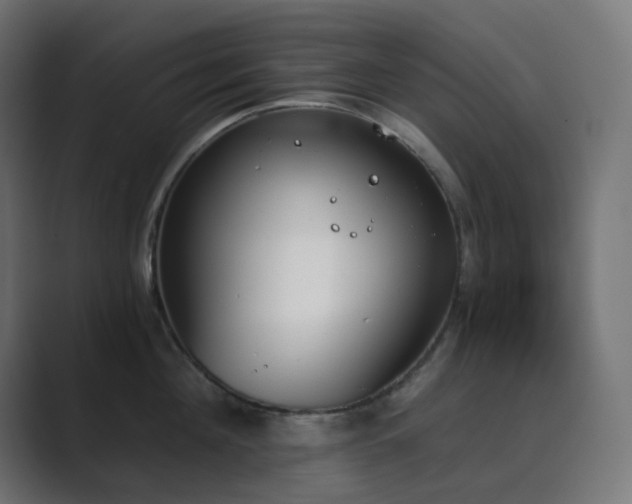 X0000089830908200706281209