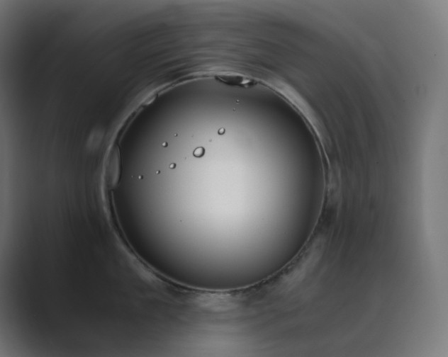 X0000089830909200706281209