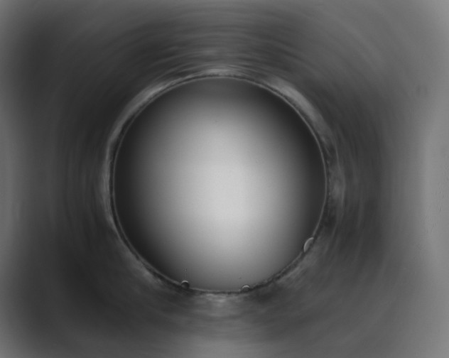 X0000089830910200706281209