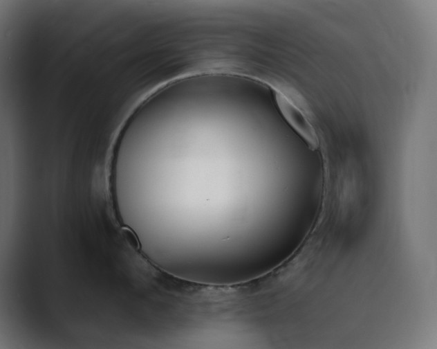 X0000089830912200706281209