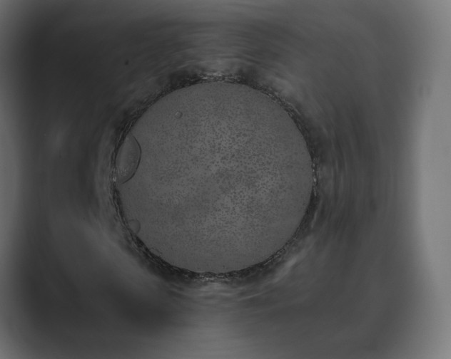 X0000089830913200706281209