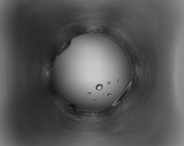X0000089830914200706281209