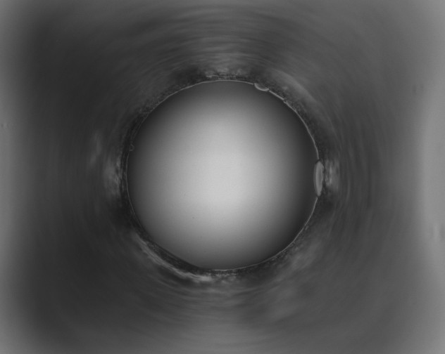 X0000089830915200706281209