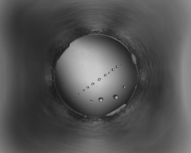 X0000089830916200706281209