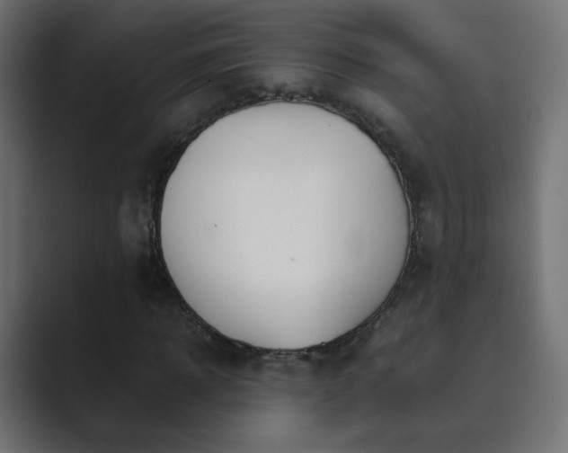 X0000089830918200706281209