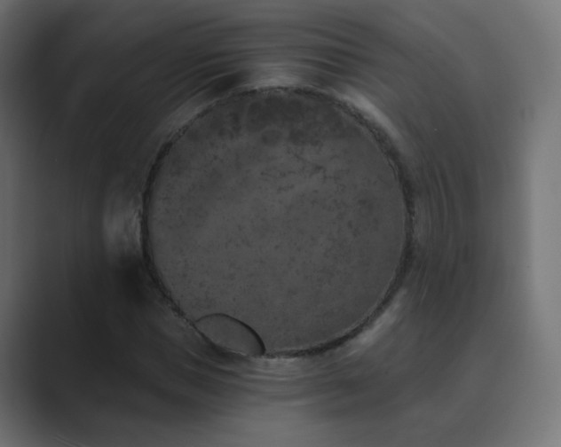 X0000089830921200706281209