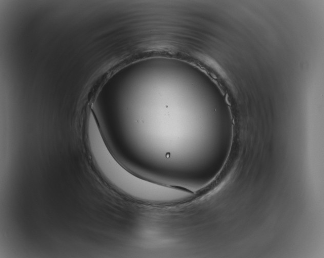 X0000089830922200706281209