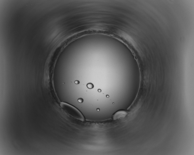 X0000089830923200706281209