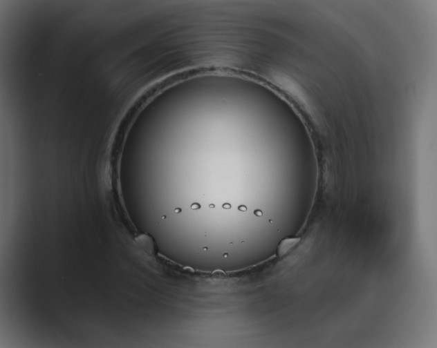 X0000089830924200706281209