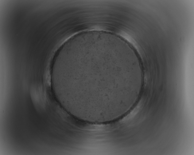 X0000089830925200706281209