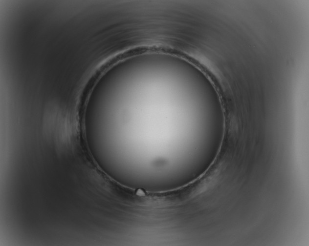 X0000089830927200706281209
