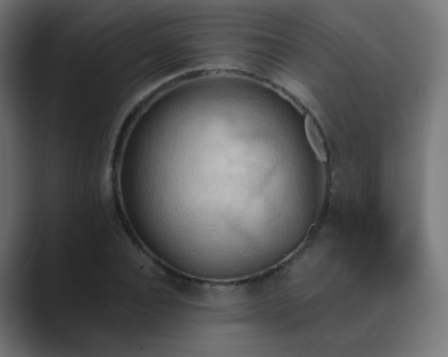 X0000089830928200706281209
