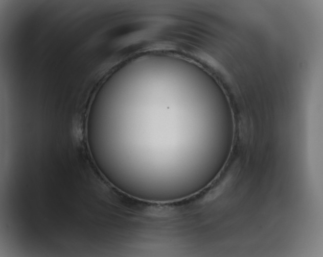X0000089830929200706281209