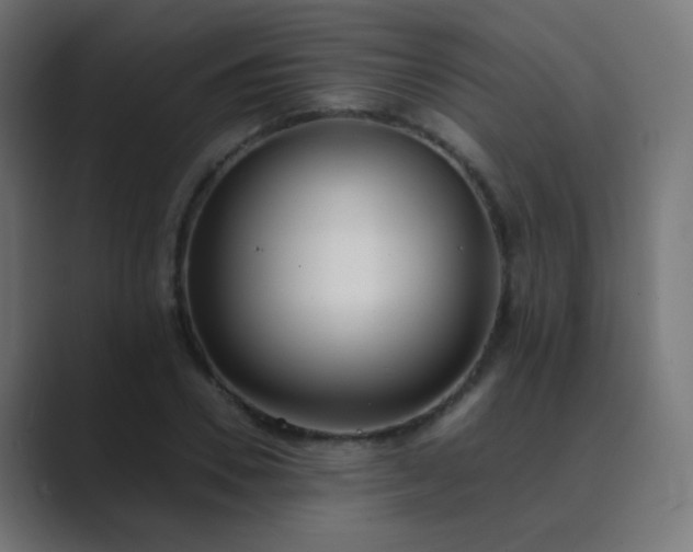 X0000089830930200706281209