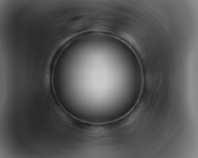 X0000089830931200706281209