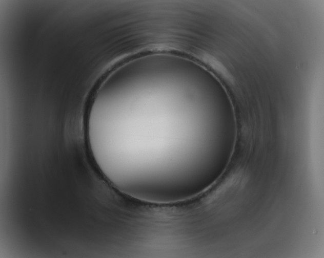 X0000089830934200706281209