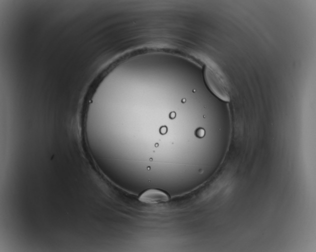 X0000089830935200706281209
