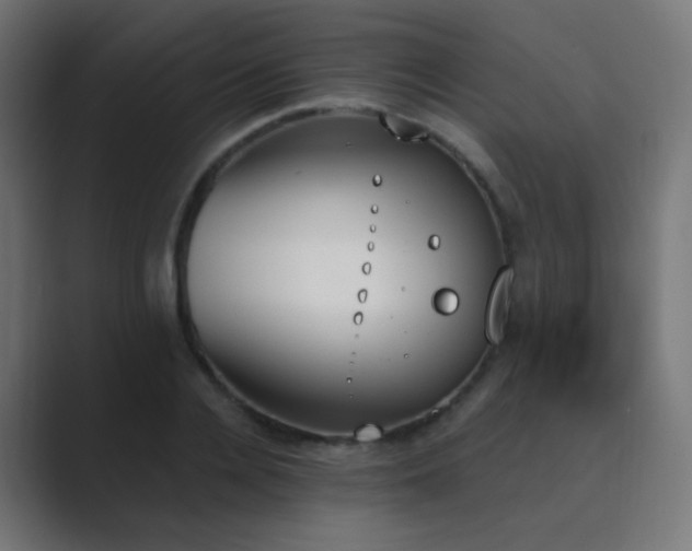 X0000089830936200706281209