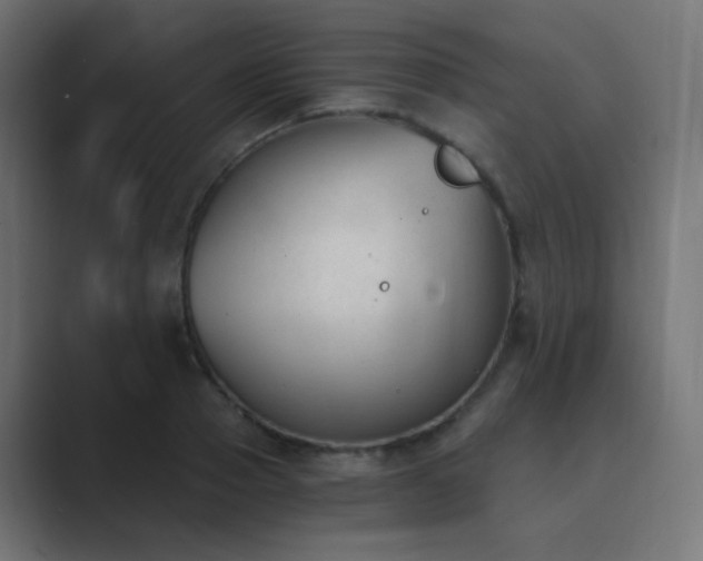 X0000089830937200706281209