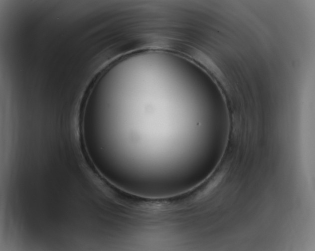 X0000089830939200706281209