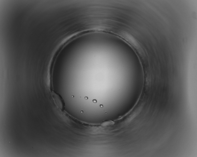 X0000089830940200706281209