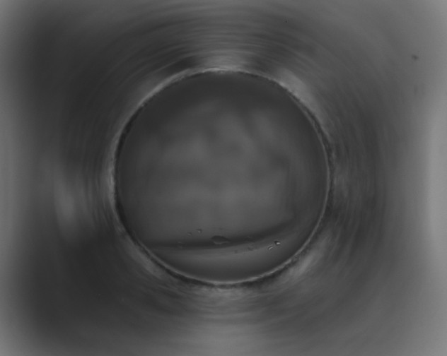 X0000089830941200706281209
