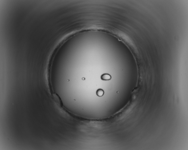 X0000089830942200706281209