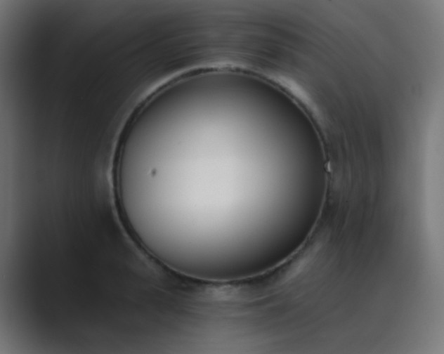 X0000089830943200706281209