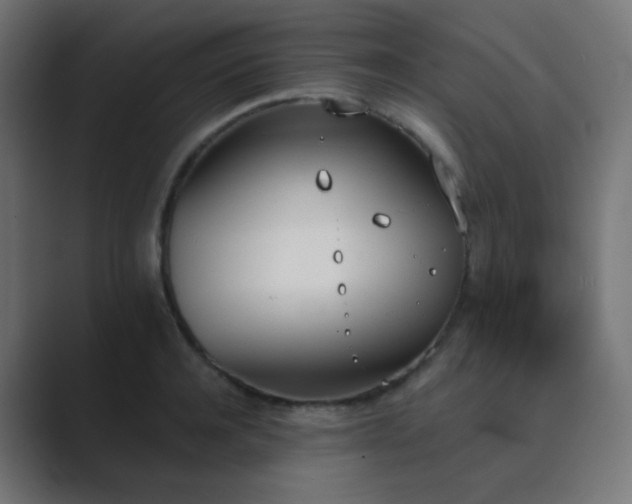 X0000089830944200706281209
