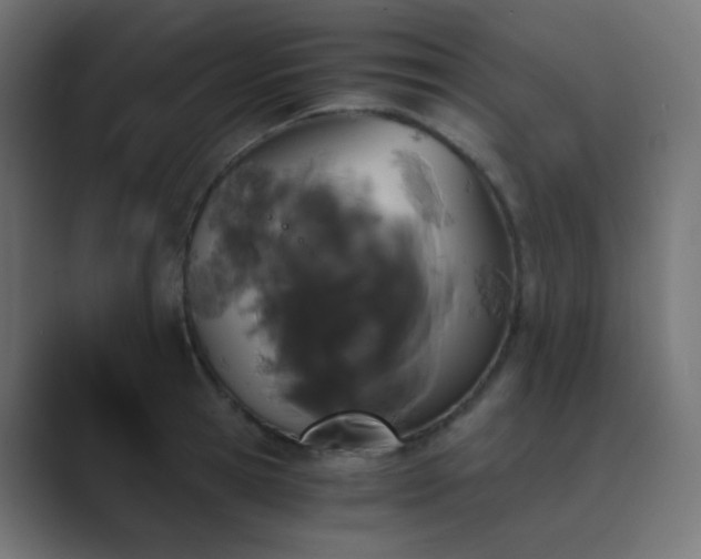 X0000089830945200706281209