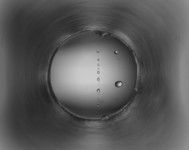 X0000089830946200706281209