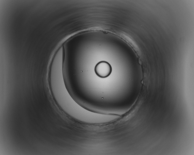 X0000089830948200706281209