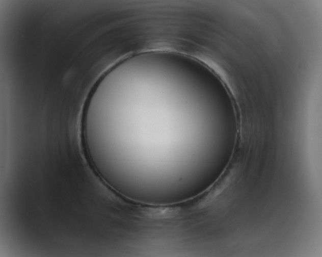 X0000089830949200706281209
