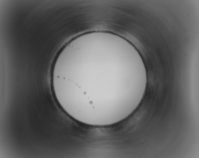 X0000089830950200706281209